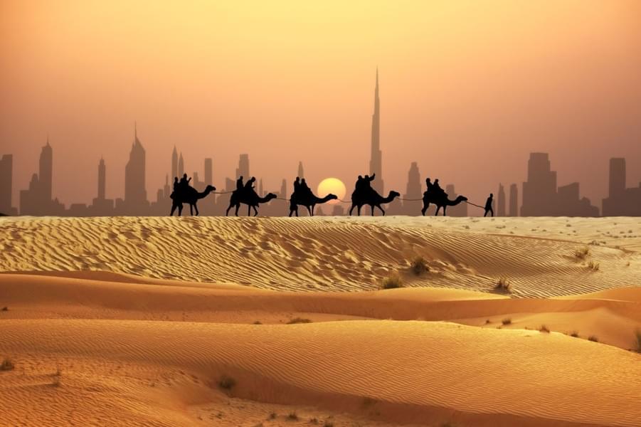 Enjoy a camel safari in the sand dunes of Dubai